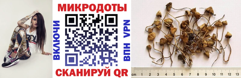 Галлюциногенные грибы прущие грибы  Воткинск 